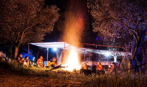 Geyikli’de bir kamp alanı: Dolmuş Camping