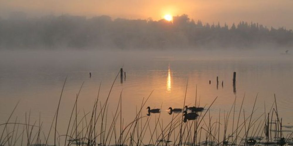 Poyrazlar Gölü için düşün yollara